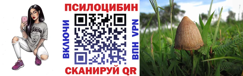 Галлюциногенные грибы Psilocybine cubensis Макушино