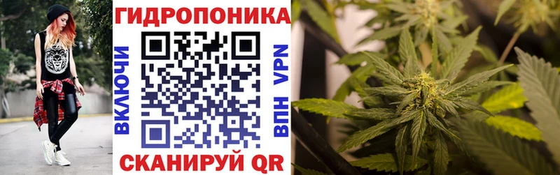 Шишки марихуана марихуана Макушино